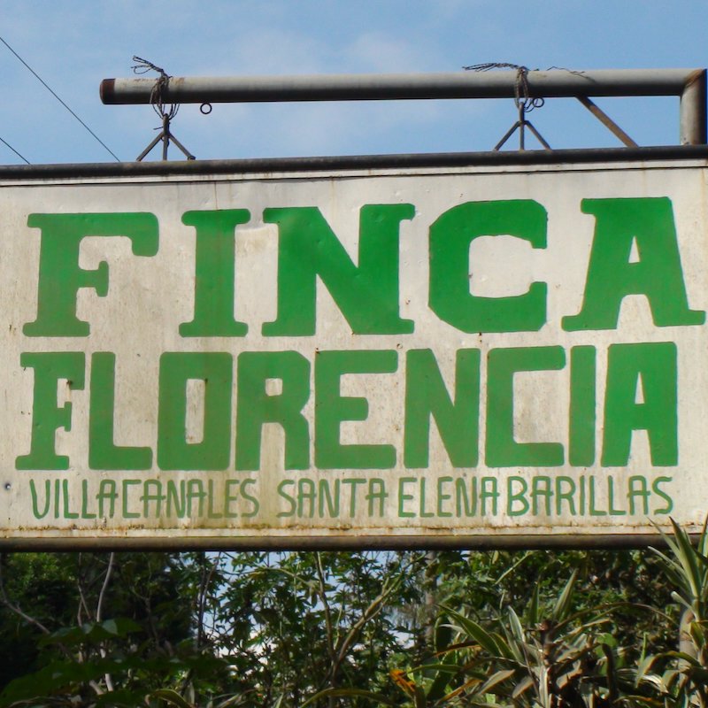 グァテマラ フロレンシア