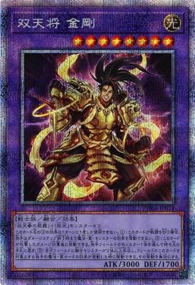 PSA10 遊戯王 双天将 金剛 プリズマティック PHRA www.krzysztofbialy.com