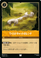磻ɥåȤΥڥ󥳥