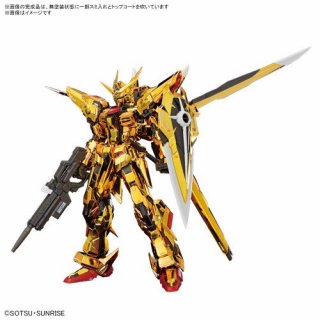 RG 1144 صưΥSEED DESTINY ĥ(亮) (ץǥ)()[BANDAI SPIRITS]ԣͽ