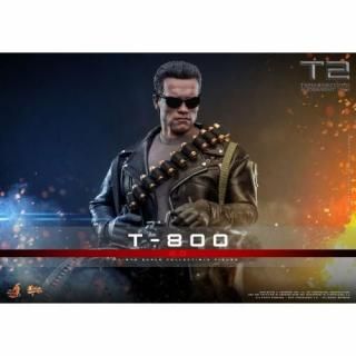 ࡼӡޥԡإߥ͡21/6 T-800(2.0)[ۥåȥȥ]ƱԲġۡԣͽ