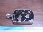 パラサイト セリコ隕石（シルバー枠）　 ペンダント