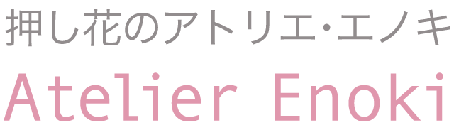 押し花額 八角型 38額 - 押し花 額・プリザーブドフラワー