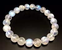 ֥롼ࡼ󥹥ȡߥ֥쥹åȡοŪʥ֥롼ε