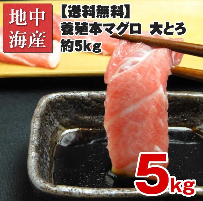 養殖本マグロ 大とろ 不定5kg 天然まぐろ販売 新鮮組 美味しいマグロ本物の味を食卓へ届けます