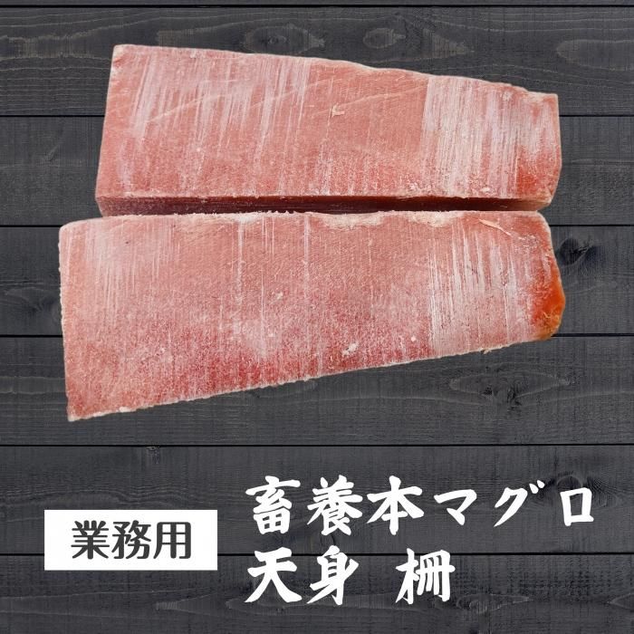 蓄養本マグロ天身 特大約3ｋｇ 天然まぐろ販売 新鮮組 美味しいマグロ本物の味を食卓へ届けます