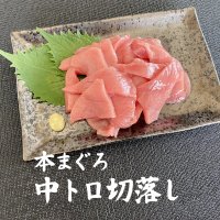 本まぐろ中トロ切落し (約200g) - まぐろ販売 新鮮組｜美味しいマグロ本物の味を食卓へ届けます