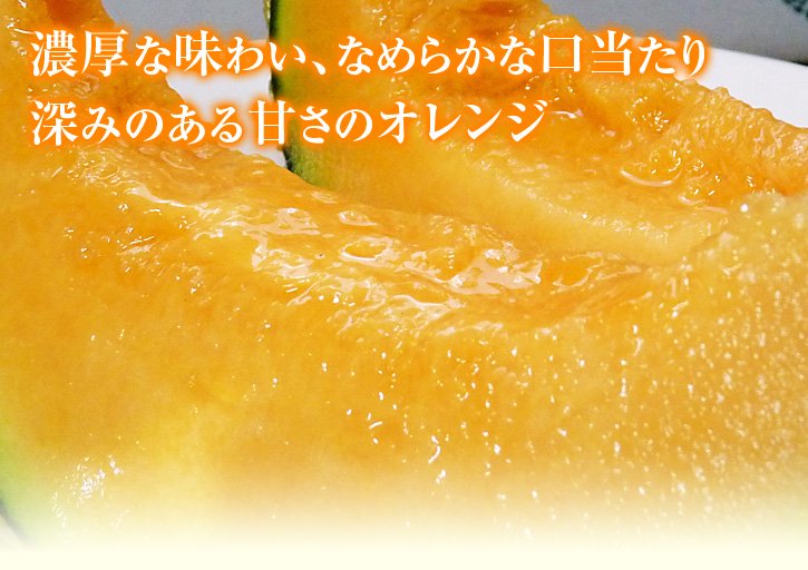 メロン特徴オレンジ