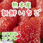 熊本県産イチゴ