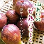 いちじくブログ