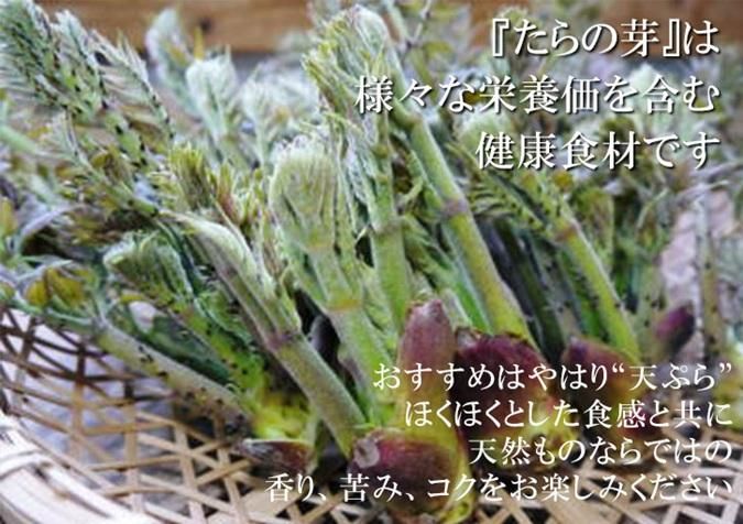 公式通販 - 人気アイテム多数 タラの芽 取り廻す 100g以上 野菜