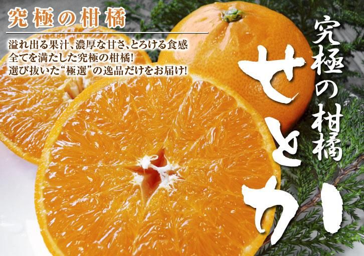 Ȥեߥ꡼Хʡ