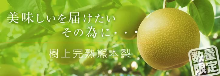 崰