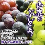 ぶどうブログ