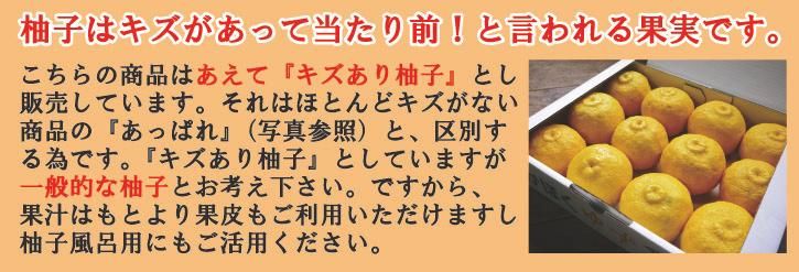 九州産柚子｜九州産の米や果物など、農家直送通販｜FLCパートナーズストア