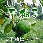 青柚子