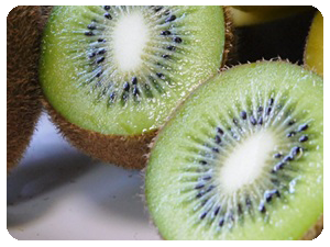 ¥¥¦¥¤ÆÃħ¥°¥ê¡¼¥ó