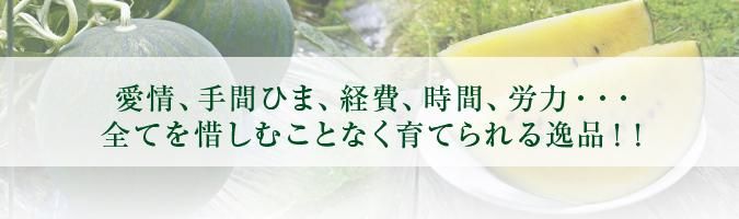 Ҿ̲ħ03