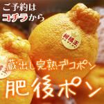 デコポン