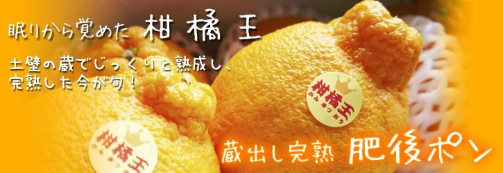 ǥݥ