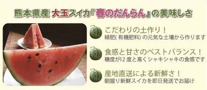 九州熊本産大玉スイカ｜九州熊本産の米や果物など、農家直送通販