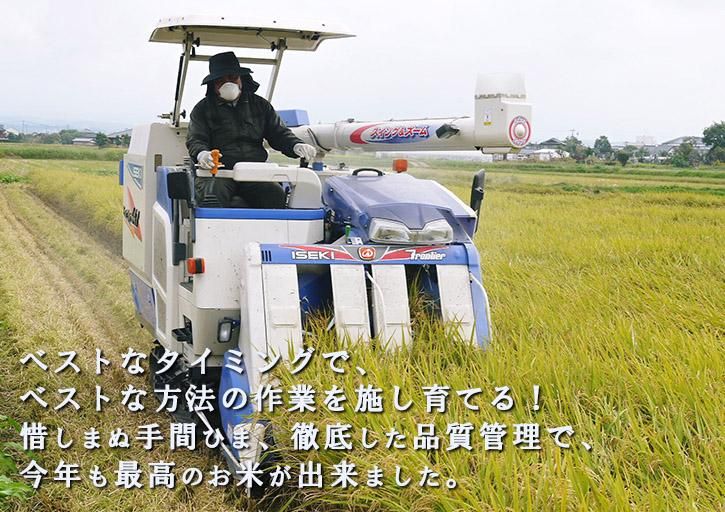 ÆÊ¸¶¤µ¤ó¥Ð¥Ê¡¼03