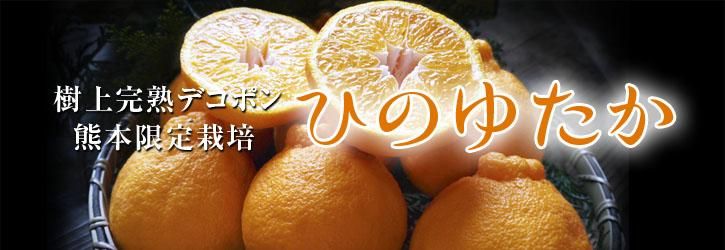 ���˭�ȥå�