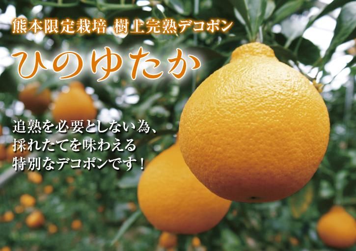 ˭Хʡ2