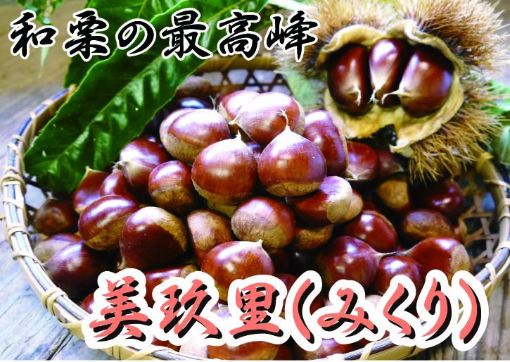 九州熊本県産 農薬不使用の美玖里(みくり)｜九州産の米や果物など