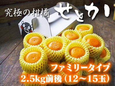 究極の柑橘『せとか』ファミリータイプ　　2.5k...