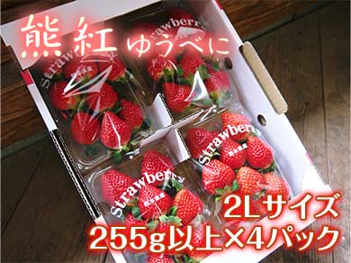 九州熊本産高級イチゴ 熊紅（ゆうべに）｜九州熊本産の米や果物など