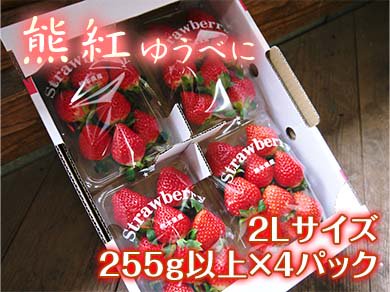 九州熊本産高級イチゴ 熊紅 ゆうべに 九州熊本産の米や果物など 農家直送通販 Flcパートナーズストア