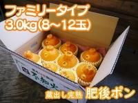 九州熊本産無農薬利平栗大粒｜九州産の米や果物など、農家直送
