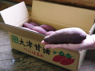 熊本産からいも｜熊本産の米や果物、野菜など、農家直送通販｜FLC