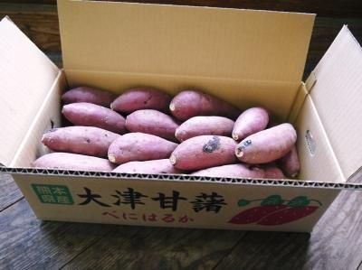 熊本産からいも｜熊本産の米や果物、野菜など、農家直送通販｜FLCパートナーズストア