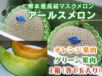 九州熊本産シャインマスカット｜九州産の米や果物など、農家直送通販｜FLCパートナーズストア