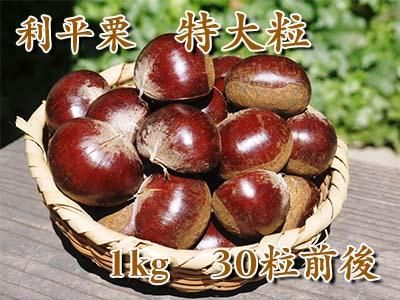 九州熊本産無農薬利平栗の特選特大粒｜九州産の米や果物など、農家直送