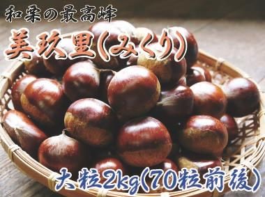 【チルド便】 和栗の最高峰『美玖里（みくり）...