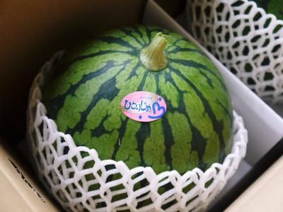 スイカ様♡専用コーナー*\(^o^)/* スイカ 黒小玉すいか ひとりじめBonBonリッチ 2玉 4Lサイズ 熊本