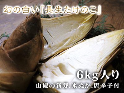 九州熊本産幻の長生たけのこ｜九州熊本産の米や果物など、農家直送通販