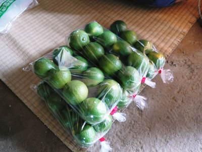 種なしかぼす｜九州熊本産の米や果物など、農家直送通販｜FLC