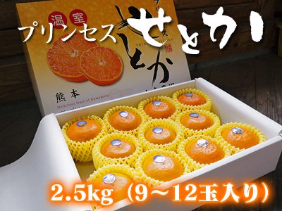 九州熊本産究極の柑橘『せとか』｜九州熊本産の米や果物など、農家直送