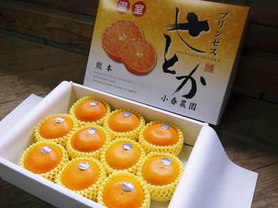 九州熊本産究極の柑橘『せとか』｜九州熊本産の米や果物など