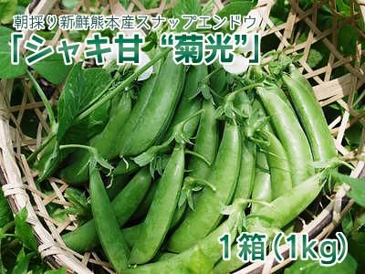 【チルド便】 スナップエンドウ『シャキ甘“菊光”』1kg