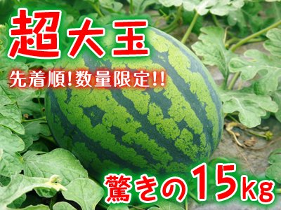 九州熊本産大玉スイカ九州熊本産の米や果物など、農家直送通販｜FLC