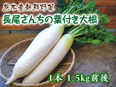 注文予約用 地元直送 大根の葉 減農薬 石川県産 何個でもどうぞ - 野菜