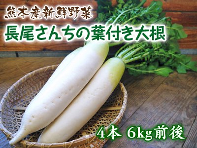 【チルド便】 熊本新鮮野菜　長尾さんちの葉付...