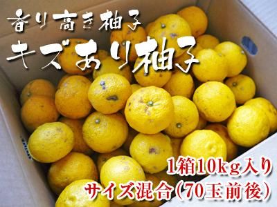 香り高き柚子　キズあり柚子10kg（1箱10kg　70玉前後）