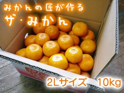 九州産みかん『ザ・みかん』｜九州産の米や果物など、農家直送