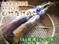 山竹たけのこ - 九州熊本産の果物（フルーツ）や野菜・お米お